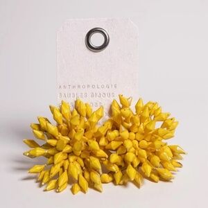 Anthropologie Glass Beaded Firework Earrings